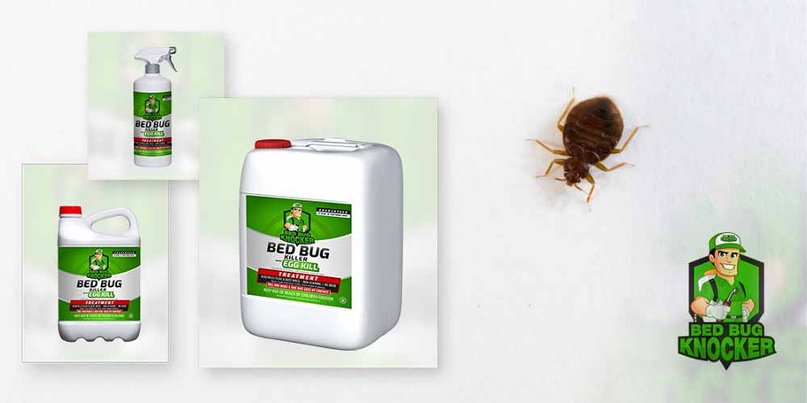 Por que escolher o repelente de percevejos Bed Bug Knocker?