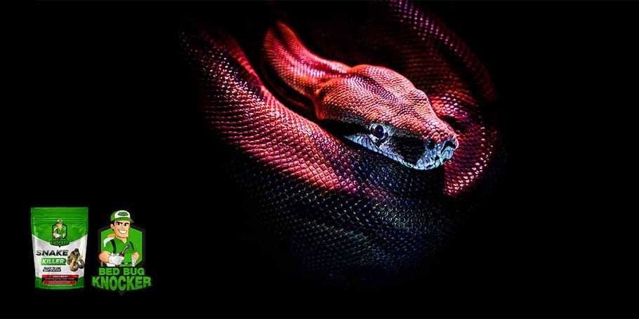 Qual é o repelente de serpentes mais satisfatório?